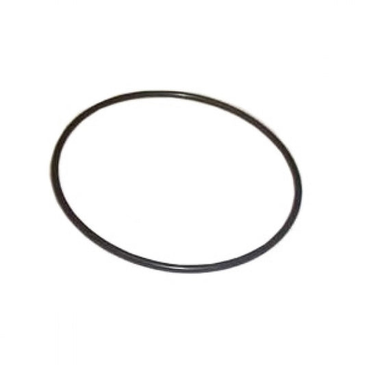 WV-003-325-381 Auto Transmission Governor Seal