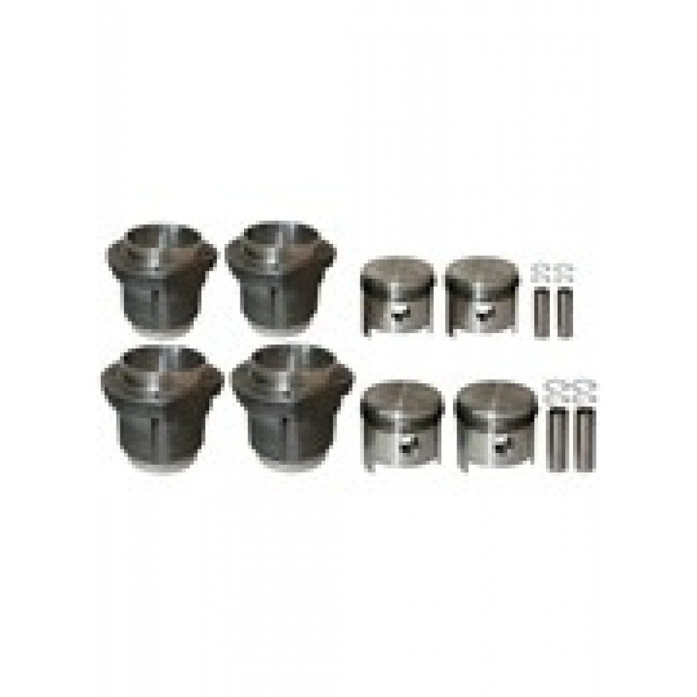 WV-029-198-075 Piston and cylinder set