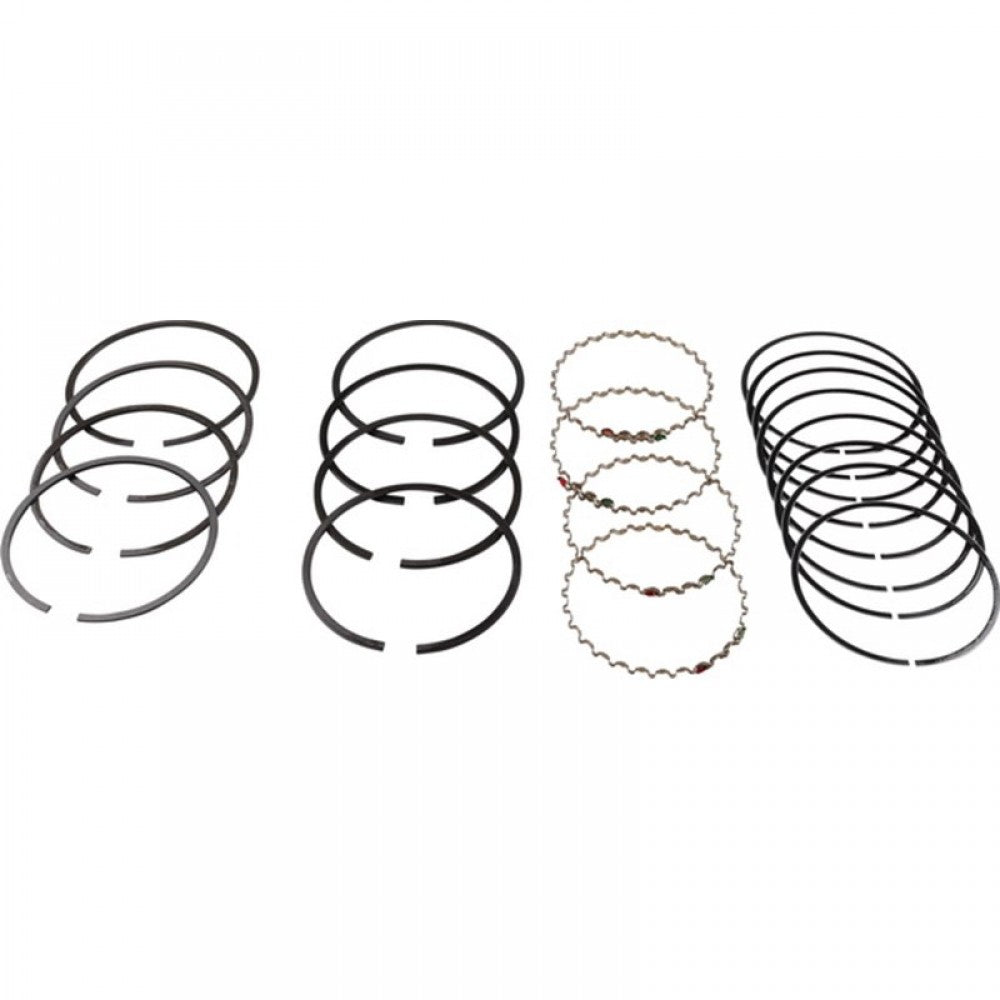 WV-029-198-175 1 set: piston rings