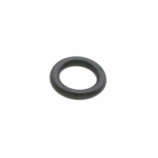 WV-096-409-069A o-ring