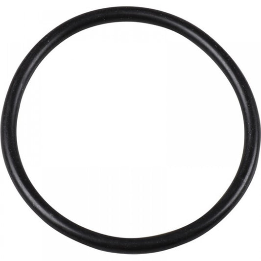 WV-113-919-131A Sealing ring