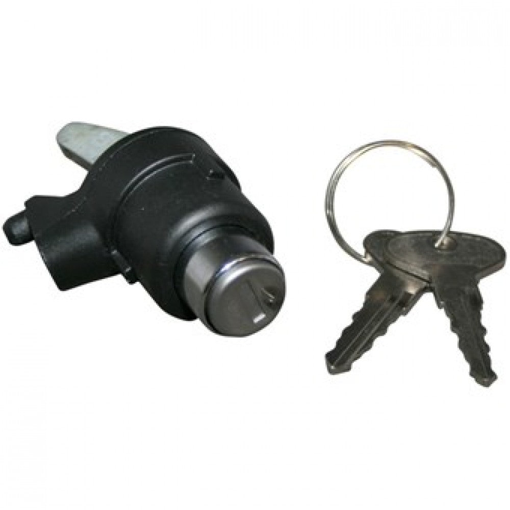 WV-251-829-231 Lock with keys for tailgate