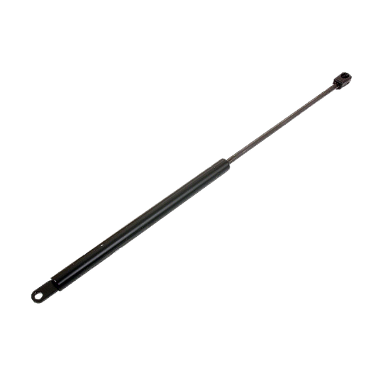 WV-251-829-332 Rear Hatch Strut