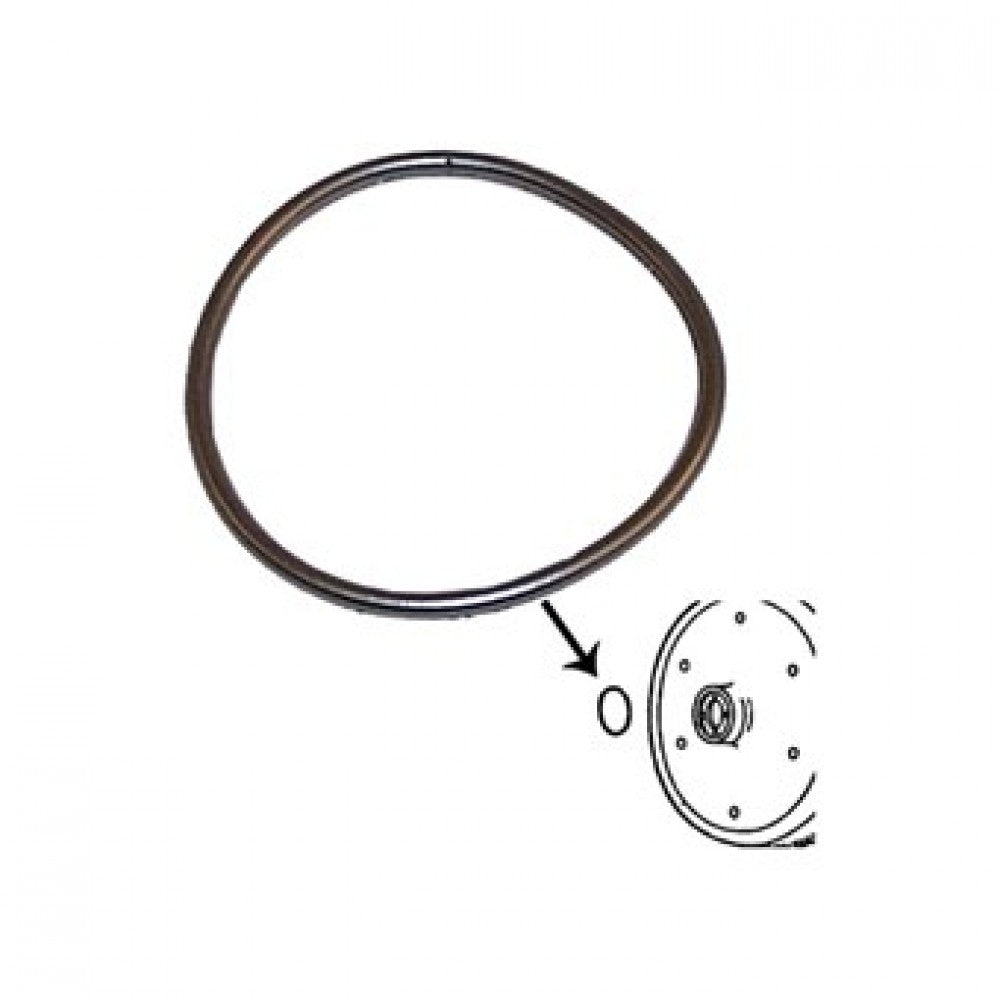 WV-311-105-295A O-ring seal for flywheel - crankshaft